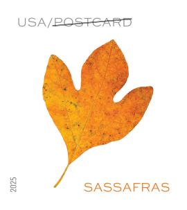 2025 Vibrant Leaves Stamps - Forever Stamps