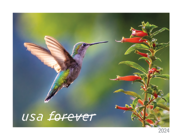 2024 Garden Delights Stamps - Forever Stamps